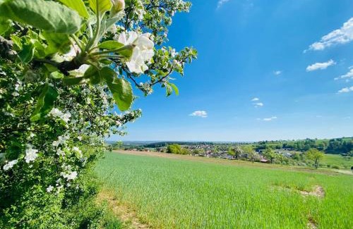 Waldfenster House | Pension Schmitt