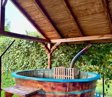 Rona de Jos House | Pensiunea Brezu