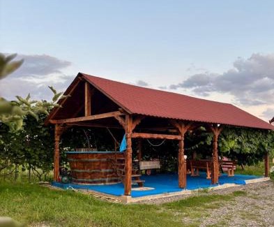 Rona de Jos House | Pensiunea Brezu