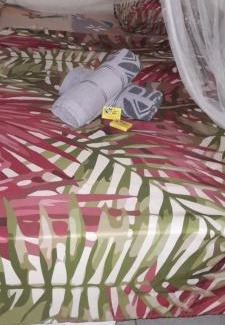 Te-Fare-Arii House | Penu Maurua 2