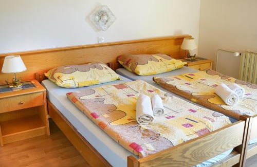 Ribcev Laz Bed & Breakfast | Penzion Rožič