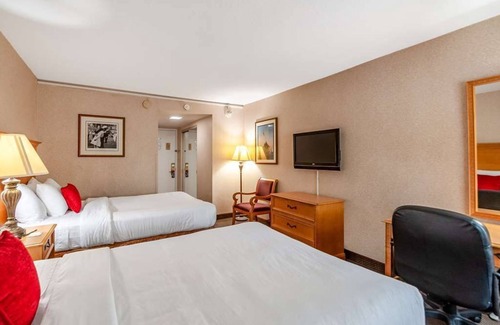 Radnor - Fort Myer Heights Resort | Perfect for Groups! 3 Units, Free Onsite Parking, Pets are Welcome!