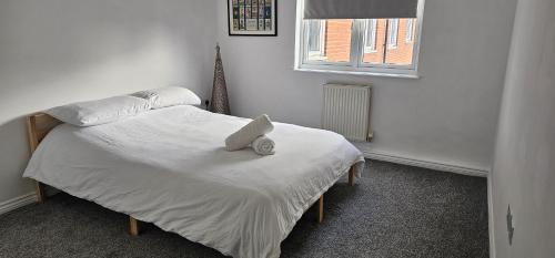 Butetown Apartment | Perfect for WMC, principality stadium and Utilita Arena