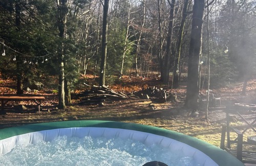 Dushore Cabin | Perfect summer getaway to explore or relax: Spacious/Pet-friendly/3BR cabin!