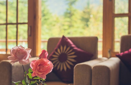 Manali Hotel | Persimmon Farmstead