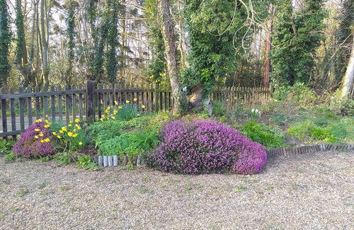 Willesborough Cottage | Pet friendly 1 bed cottage in Sellindge, Kent