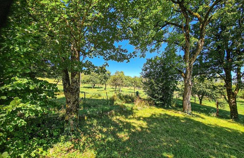 Sivry-la-Perche House | Pet friendly home in Sivry-la-Perche