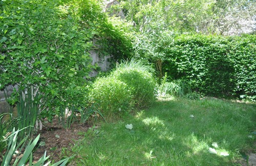 Provincetown Cottage | PET FRIENDLY REMODELED 1BR-1BA COTTAGE - MINUTESWALK TO TOWN CTR, 2 DECKS, YARD