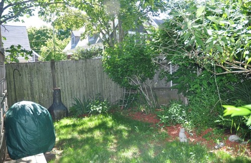 Provincetown Cottage | PET FRIENDLY REMODELED 1BR-1BA COTTAGE - MINUTESWALK TO TOWN CTR, 2 DECKS, YARD