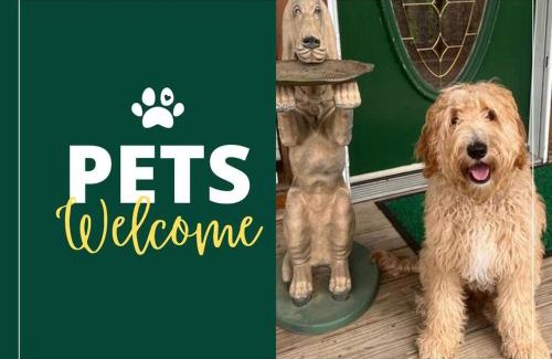 Sevierville Apartment | Pet-Friendly, Views, Hot Tub, WIFI, Game Room