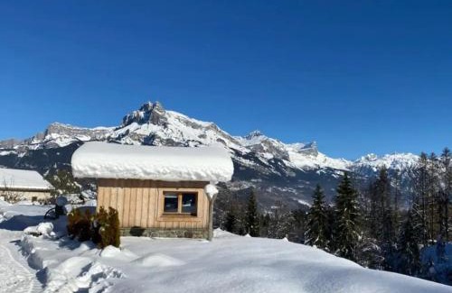 Combloux Ski Chalet | Petit Chalet Cosy