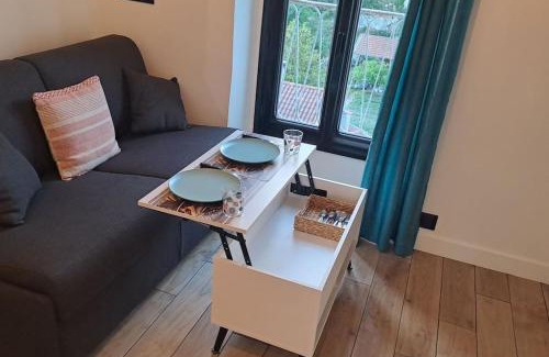 Vassieux - Crepieux Apartment | Petit-cocon proche centre-ville