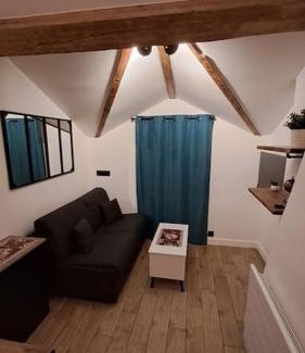 Vassieux - Crepieux Apartment | Petit-cocon proche centre-ville
