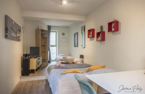 Bourgogne Apartment | Petit studio hypercentre d'Orléans avec jardin