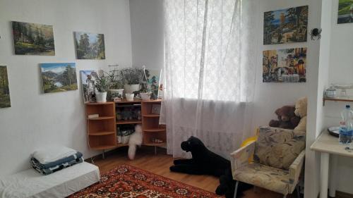 Dnipro Apartment | Petrovka