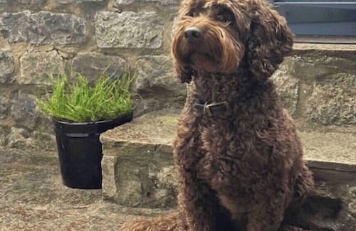 Tideswell House | Peverel House, Tideswell. Sleeps 4, Dog Friendly