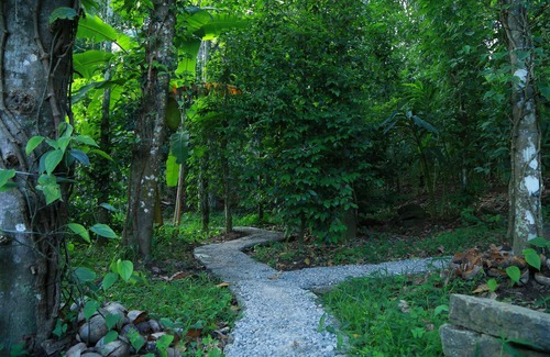 Pirmed Bed & Breakfast | Philip Mary Farm Stay, Thekkady