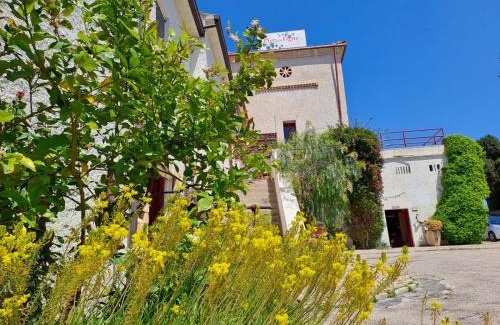 Pineto House | Pier Delle Vigne B&B