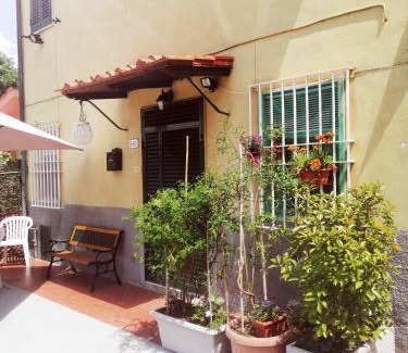 Lucca Apartment | Pierina