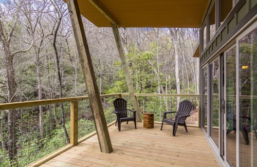 Pisgah Forest Cabin | PILOT COVE 1 BR Cabin - Modern Luxury w/Nature!
