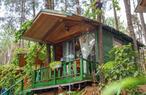 Soc Son Resort | Pine Hill Villas & Camping