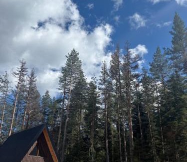 Zabljak House | Pine Retreat