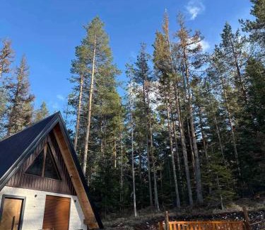 Zabljak House | Pine Retreat