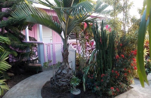St. John's Cottage | PINKSHACK STUDIO COTTAGE IN JUNGLE THEMED PATIO GARDEN
