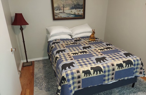 Penrose Other | Pisgah Shadows Cottage - Hot Tub - Grill - Fireplace - WiFi - Pets OK