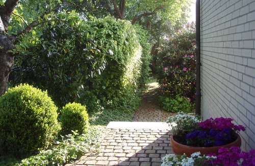 Ulsnis House | Pleasant, modern and cozy, our apiary