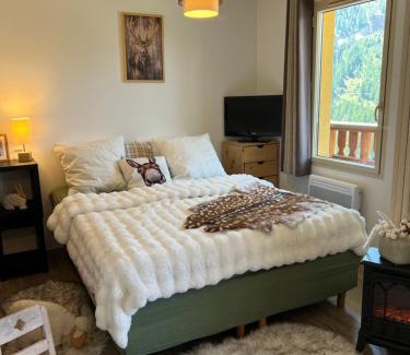 Isola Apartment | Plein Centre, sublime et confortable, 6 personnes, 2 chambres, Plein Centre, luxueux 6 personnes, 2 chambres , terrasse, vue époustouflante, Tout pédestre, piste à 100m, parking couvert