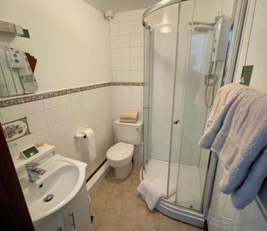 Felin Fach Hotel | Plough and Harrow