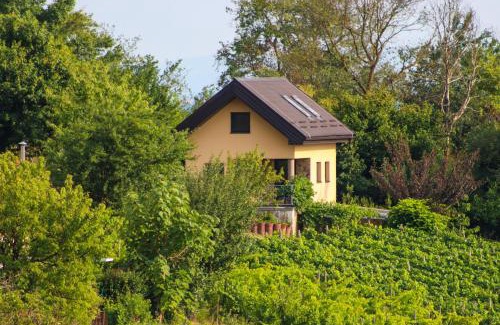 Lendava Apartment | Počitniška hiška pod Hadikom