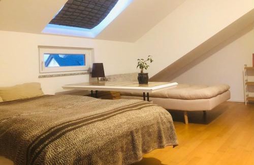 Kuppenheim Apartment | Pod-Inn 坡顶公寓-文化谷仓
