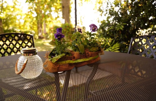 Amelia Apartment | Podere Agrituristico Luchiano, relax in Umbrian countryside