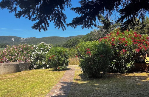 Gavorrano Apartment | Podere Gli Scopai - Wohnung Nr. 1 mit Großem Garten und Schwimmbad