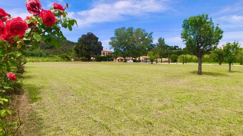 Portoferraio Apartment | Podere Il Ritorno