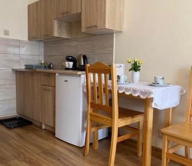 Ustron House | Pokoje Sylwia z aneksami kuchennymi w każdym pokoju
