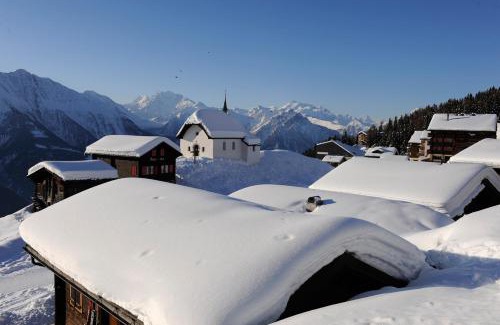 Bettmeralp Apartment | Polaris