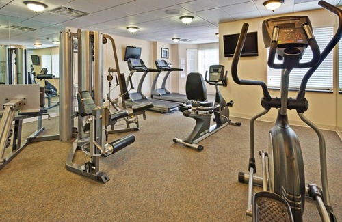 Rochester Condo | Pool & Gym. Suite Near Rochester University.