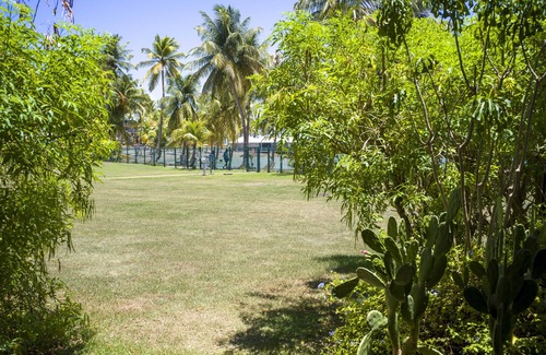 Bas du Fort Apartment | Pop's Plage Apartment, direct access to the beach
