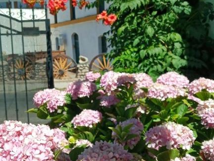 Chilecito Bed & Breakfast | Posada Las Hortensias