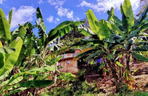 Choachi House | Posada Lu.Lu