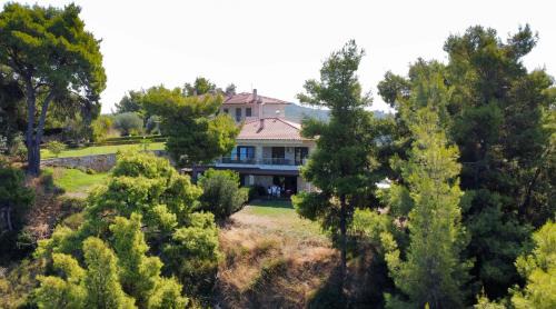 Kassandra Villa | Poseidi - Villa Olivia