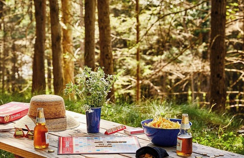 Celina Cabin | Postcard Cabins Dale Hollow