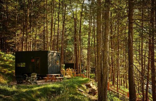 Larue Other | Postcard Cabins Piney Woods, Outdoor Collection by Marriott Bonvoy