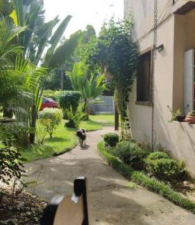 Ponte Branca Hotel | Pousada Aloes