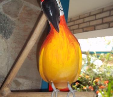 Jardim Primavera Hotel | Pousada Riacho Doce