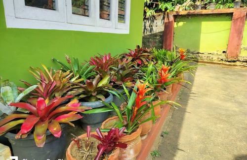 Polibetta House | Praplia Home Stay Ammathi, South Coorg