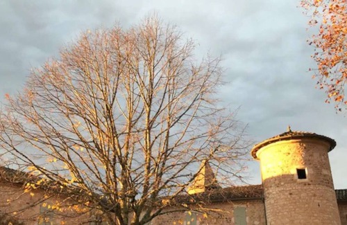 Castelnau-de-Montmiral Apartment | Prestige flat in a 17th century castle - PRM
